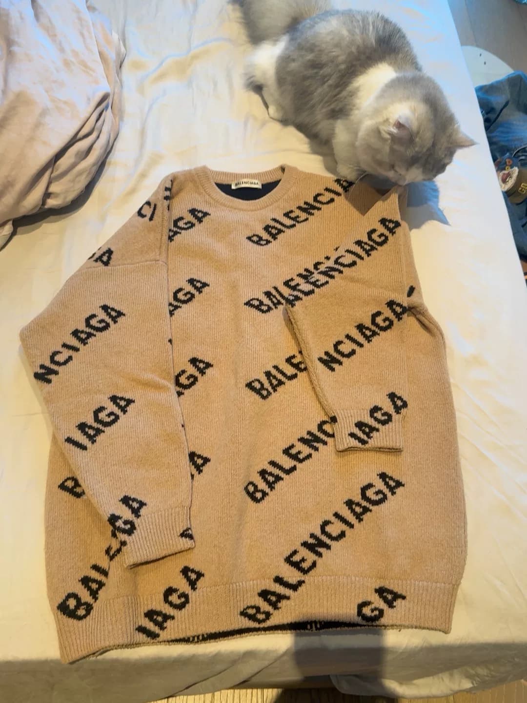 Я еще не успел его промыть.Balenciaga Буквенный логотип Balenciaga с полной печатью