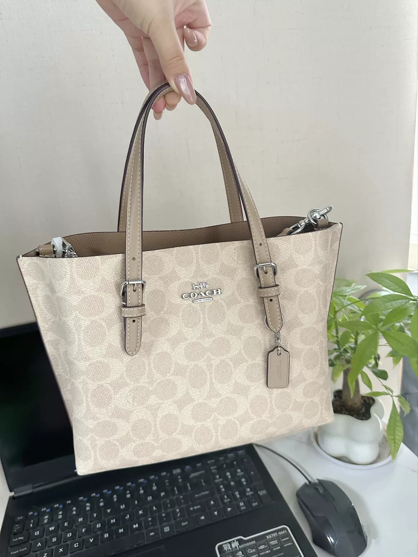 Сумка-тоут Ole genuine COACH Coach Mollie 25|Цвет молочно-чайный, классический старый