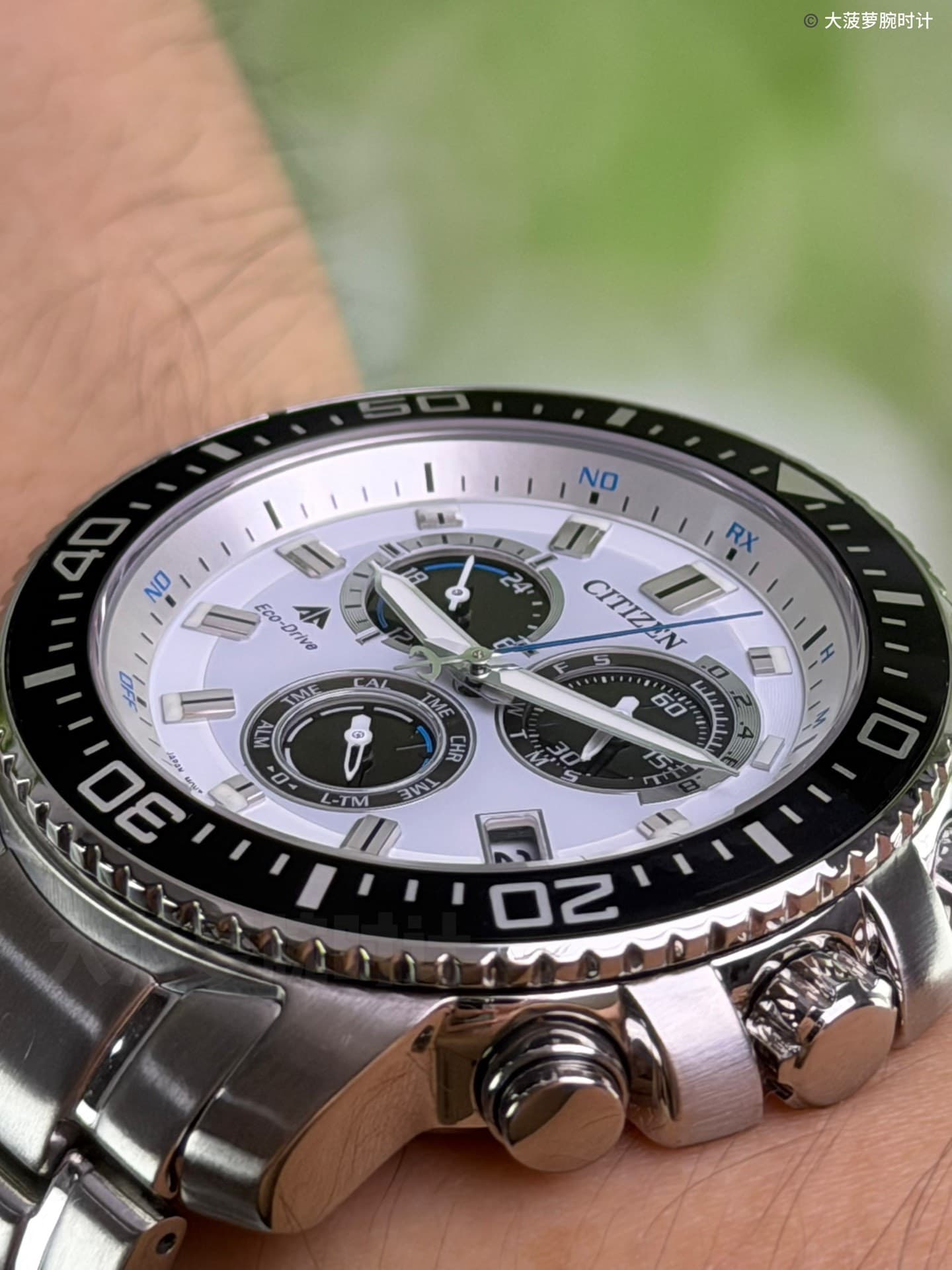 Фотокинетическая радиоволновая пластина Citizen Leopard Max из нержавеющей стали e610 с изображением трехглазой панды